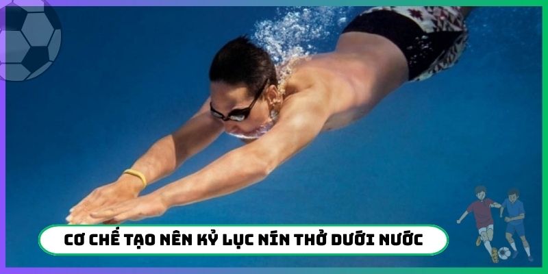 Cơ chế tạo nên kỷ lục nín thở dưới nước