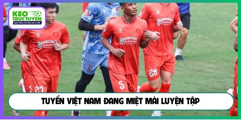 Tuyển Việt Nam đang miệt mài luyện tập